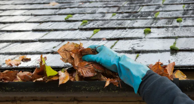 limpiezadecanalonesenGuadarrama Madrid 1920w