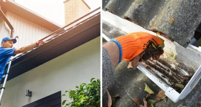 limpiezadetejadosycanalonesenlasrozas madrid 720w